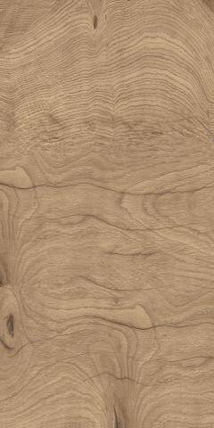 Kütahya Seramik 60x120 Albero Mat Rektifiyeli - 55016440R - 2